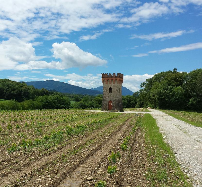 Agriturismo Casteldardo Casa de hóspedes Trichiana Exterior foto